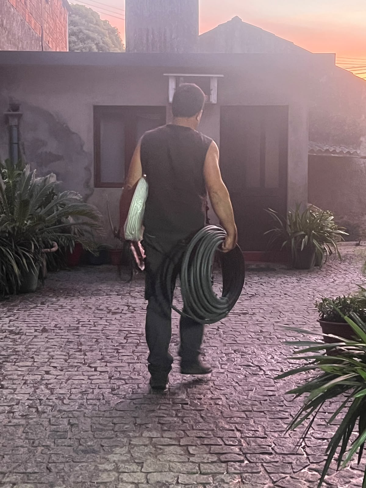 Jorge Costa - Fundador